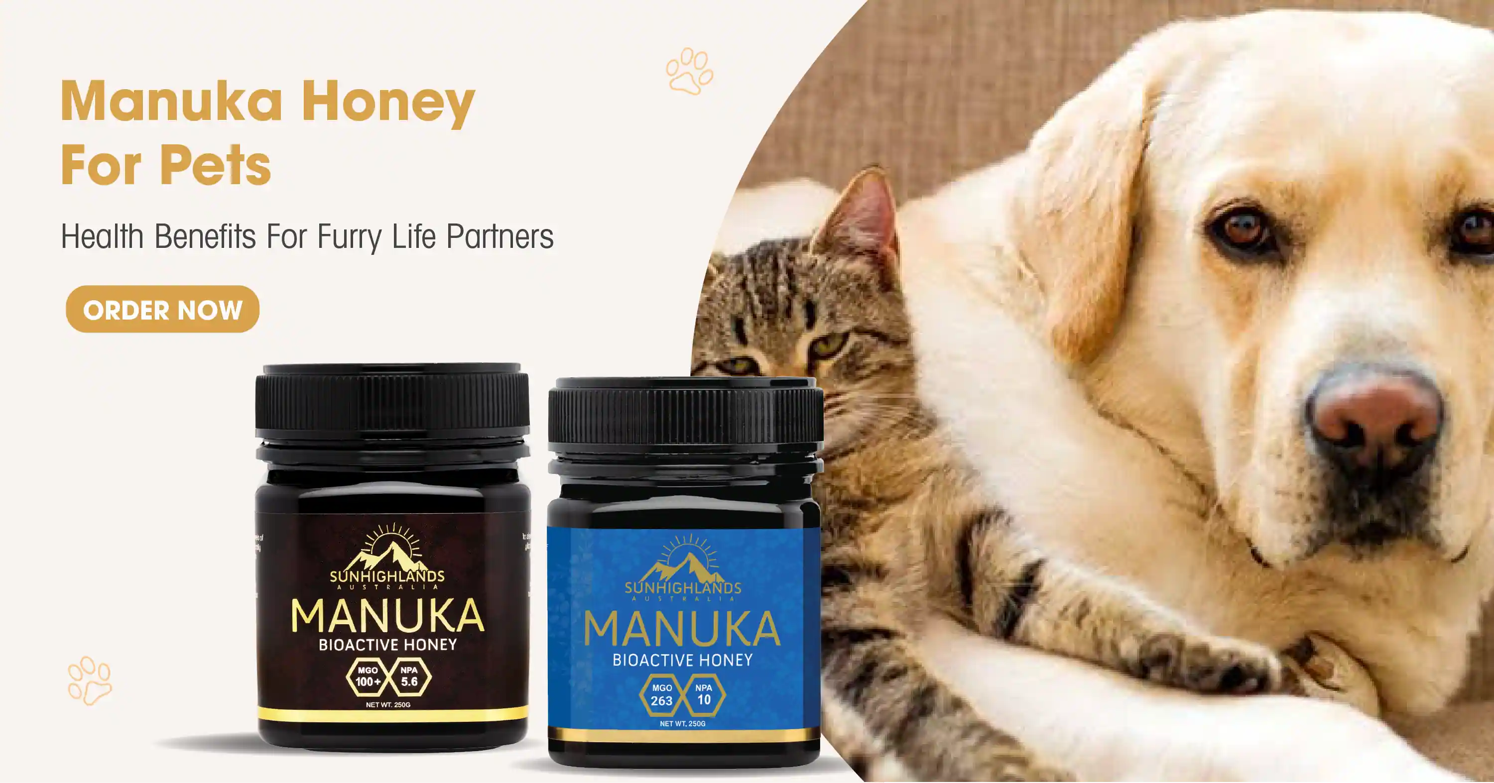 Benefits of honey outlet for dogs