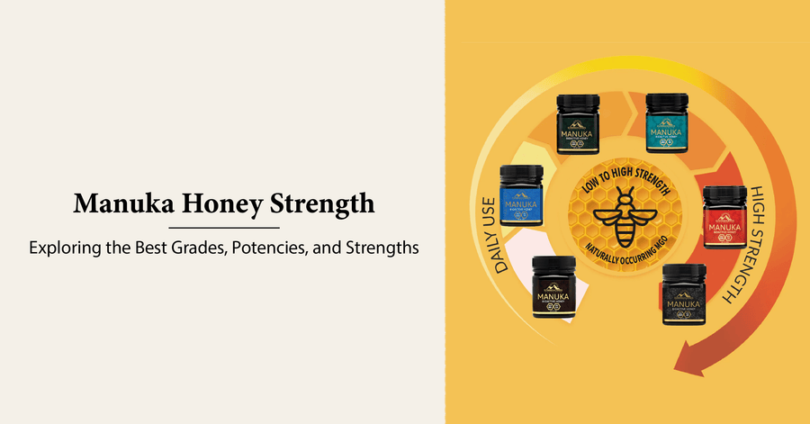 Manuka Honey Strength: Best Grades, Potencies, & Strengths ...